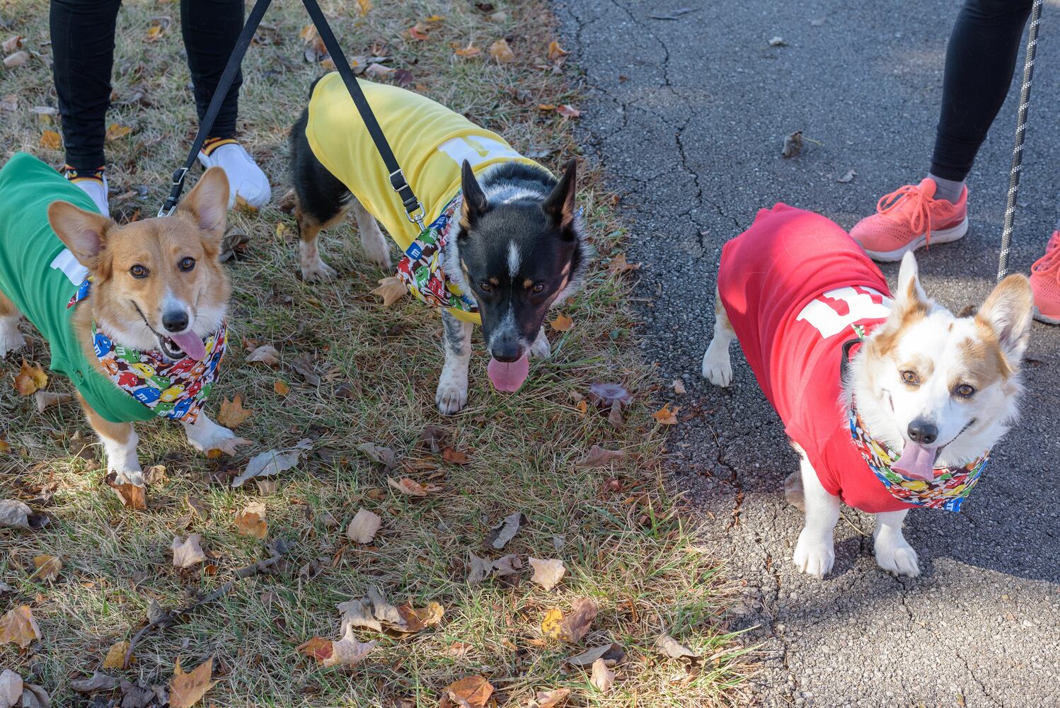 PHOTOS: Did we spot you and your dog at Wag-O-Ween at the Kettering Recreation Center?
