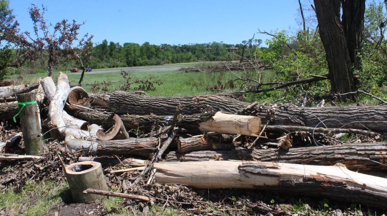 Thousands of trees were destroyed in the Memorial Day tornadoes including a large number at Wegerzyn Garden MetroPark in Dayton. Photo by Amelia Robinson