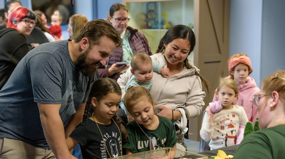 The Boonshoft Museum of Discovery, located at 2600 DeWeese Pkwy. in Dayton, hosted its annual Hedgehog Day on Feb. 2, 2025. Walnut the Hedgehog did see her shadow after she peeked out of her cozy burrow. TOM GILLIAM/CONTRIBUTING PHOTOGRAPHER