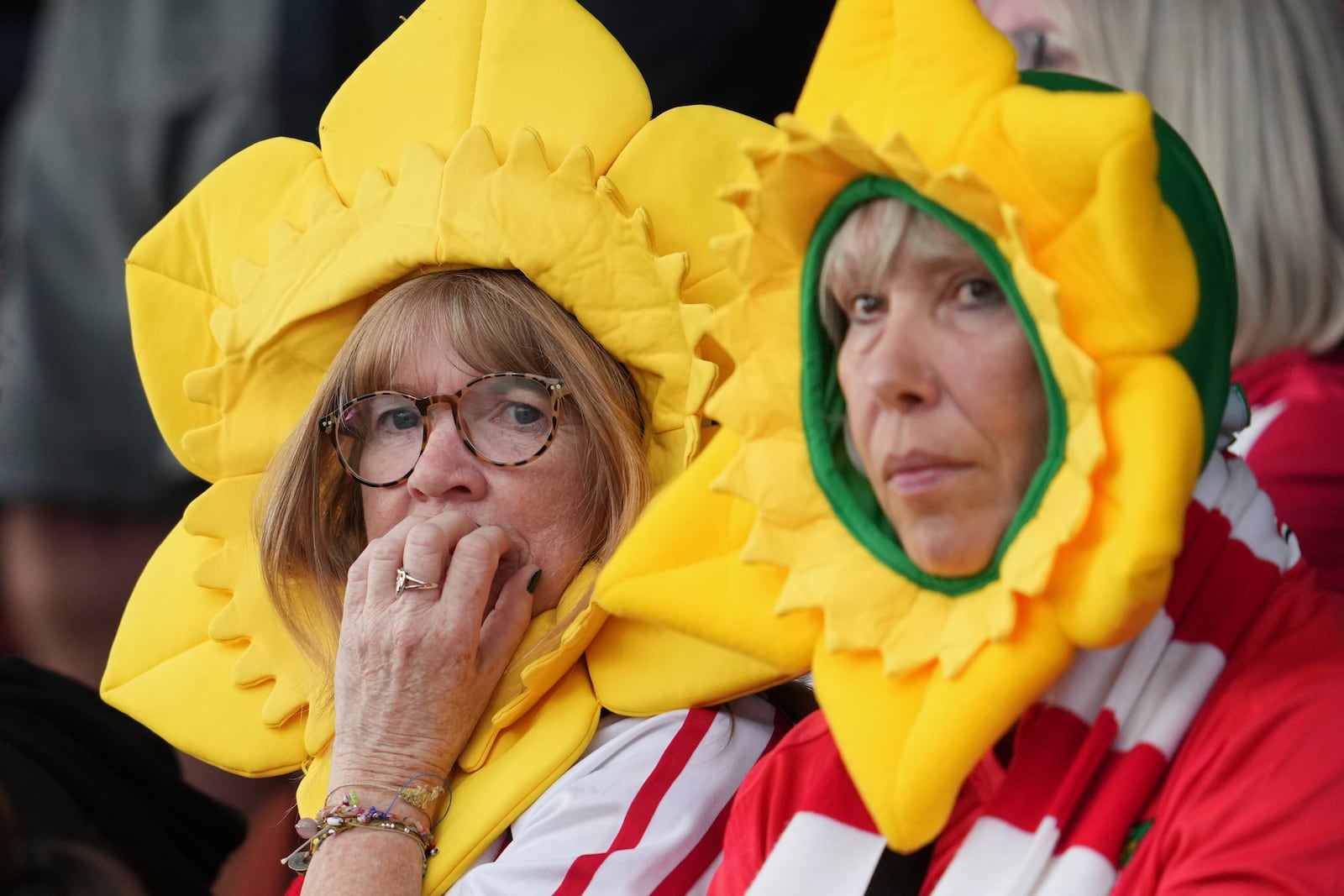 Wrexham fans watch the English League One soccer match between Wrexham and Charlton Athletic at the Racecourse ground in Wrexham, Wales, Saturday, April 26, 2025. (AP Photo/Jon Super)