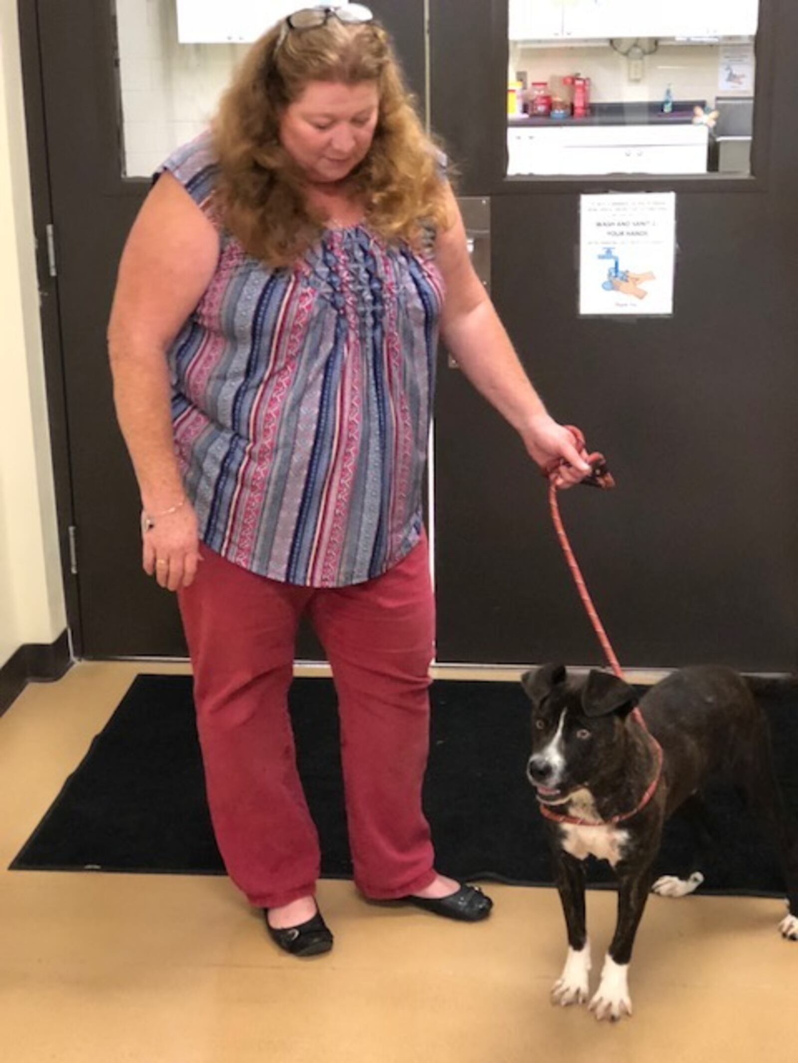 Julie Holmes-Taylor, director of Greene County Animal Control, with Brave. NATE DAVIS / STAFF PHOTO