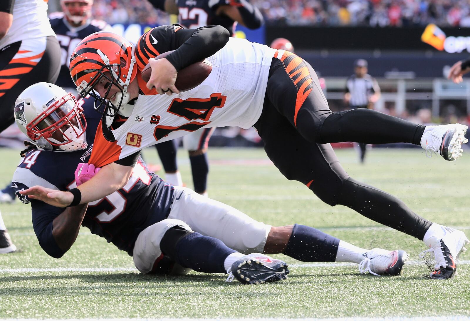 FOXBORO, MA - OCTOBER 16: Dont’a Hightower #54 of the New England Patriots sacks Andy Dalton #14 of the Cincinnati Bengals during the third quater of the game at Gillette Stadium on October 16, 2016 in Foxboro, Massachusetts. (Photo by Jim Rogash/Getty Images)