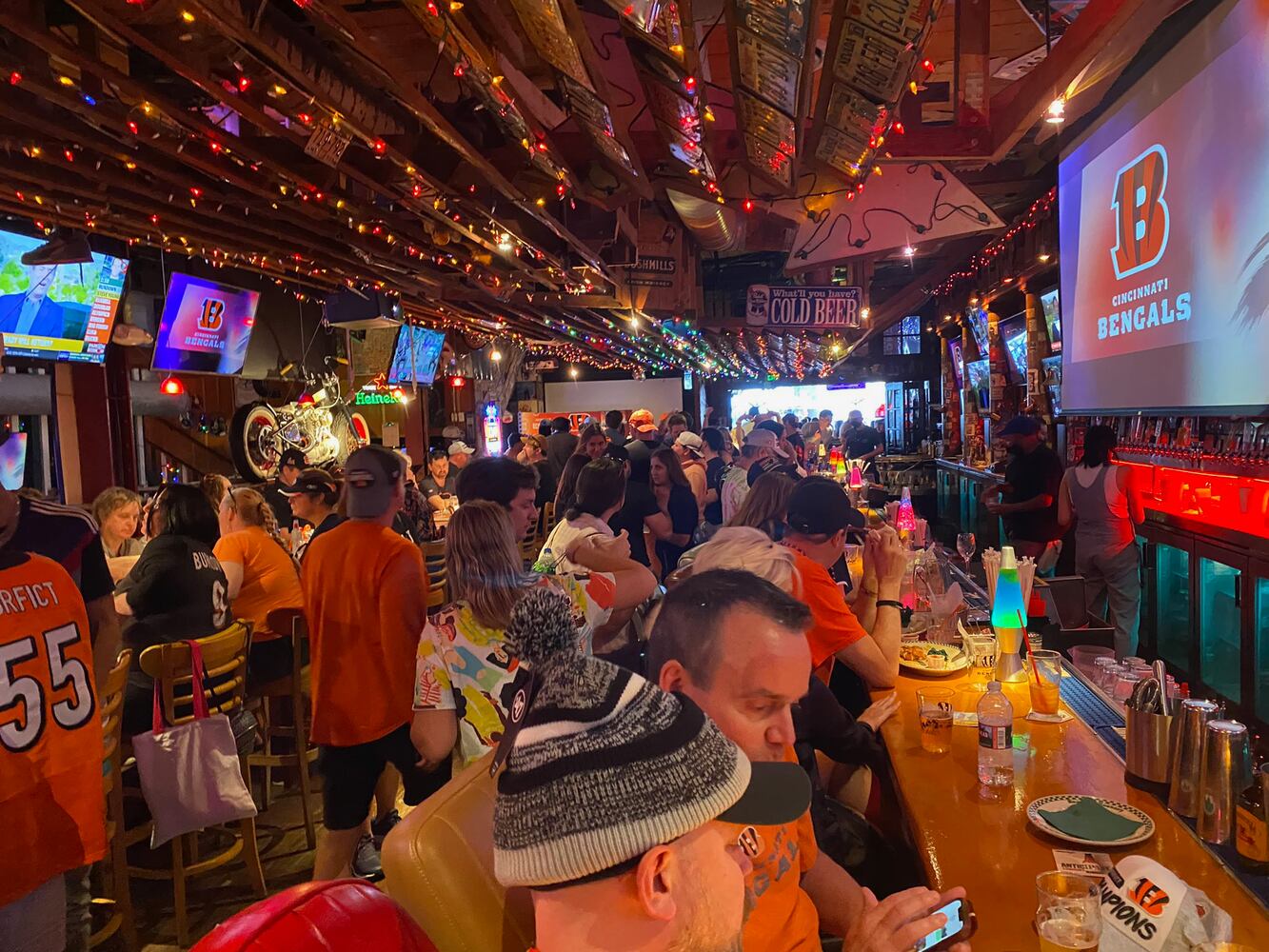 Bengals fans in Los Angeles