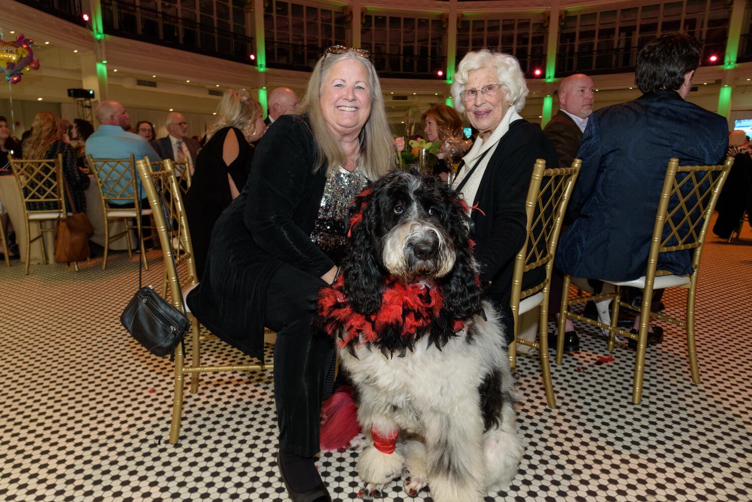 PHOTOS: Did we spot you at the Pet Afflaire Gala at the Dayton Arcade?