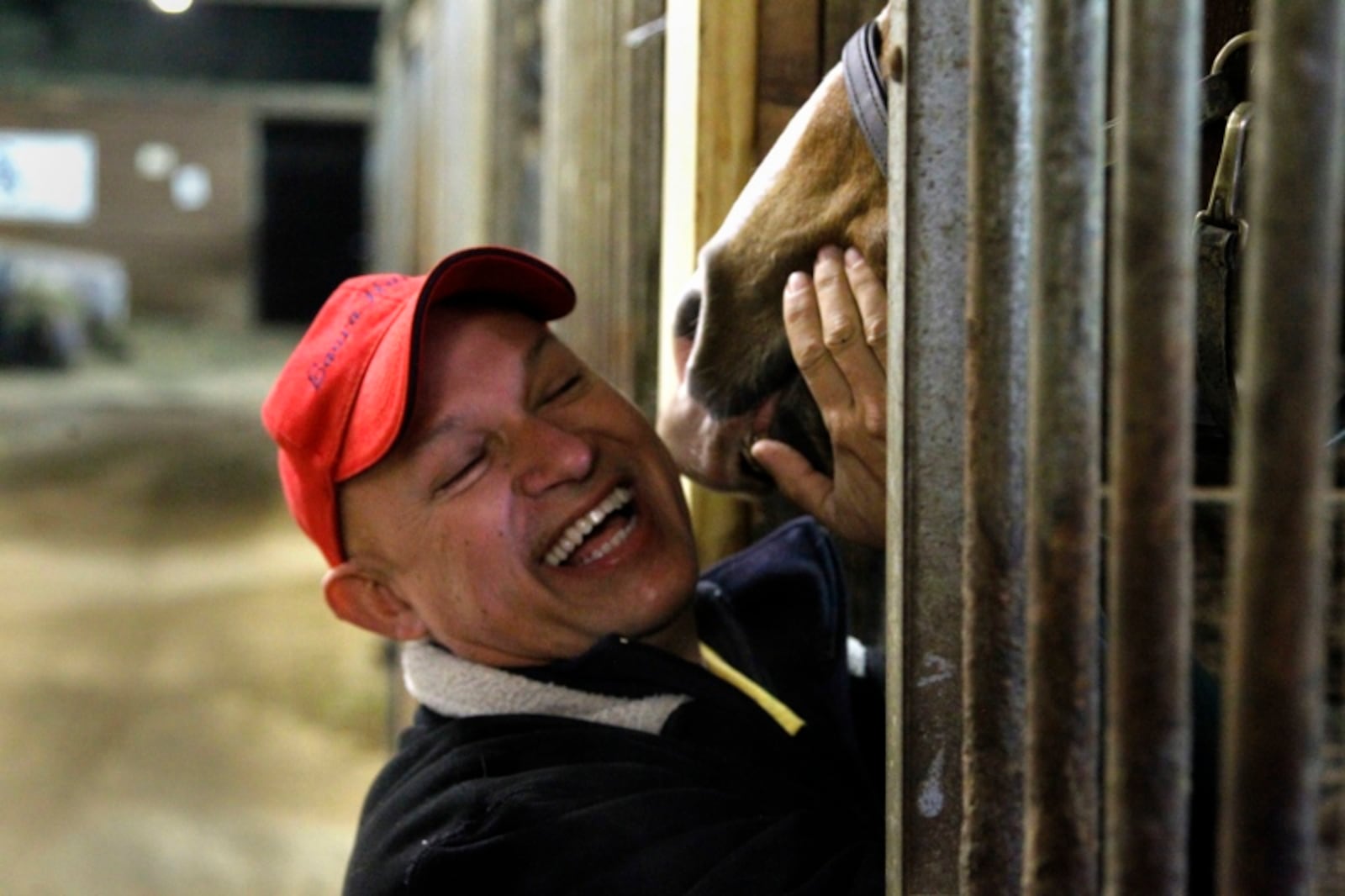 Bill Castro with one of his show horses. File photo by LISA POWELL/STAFF
