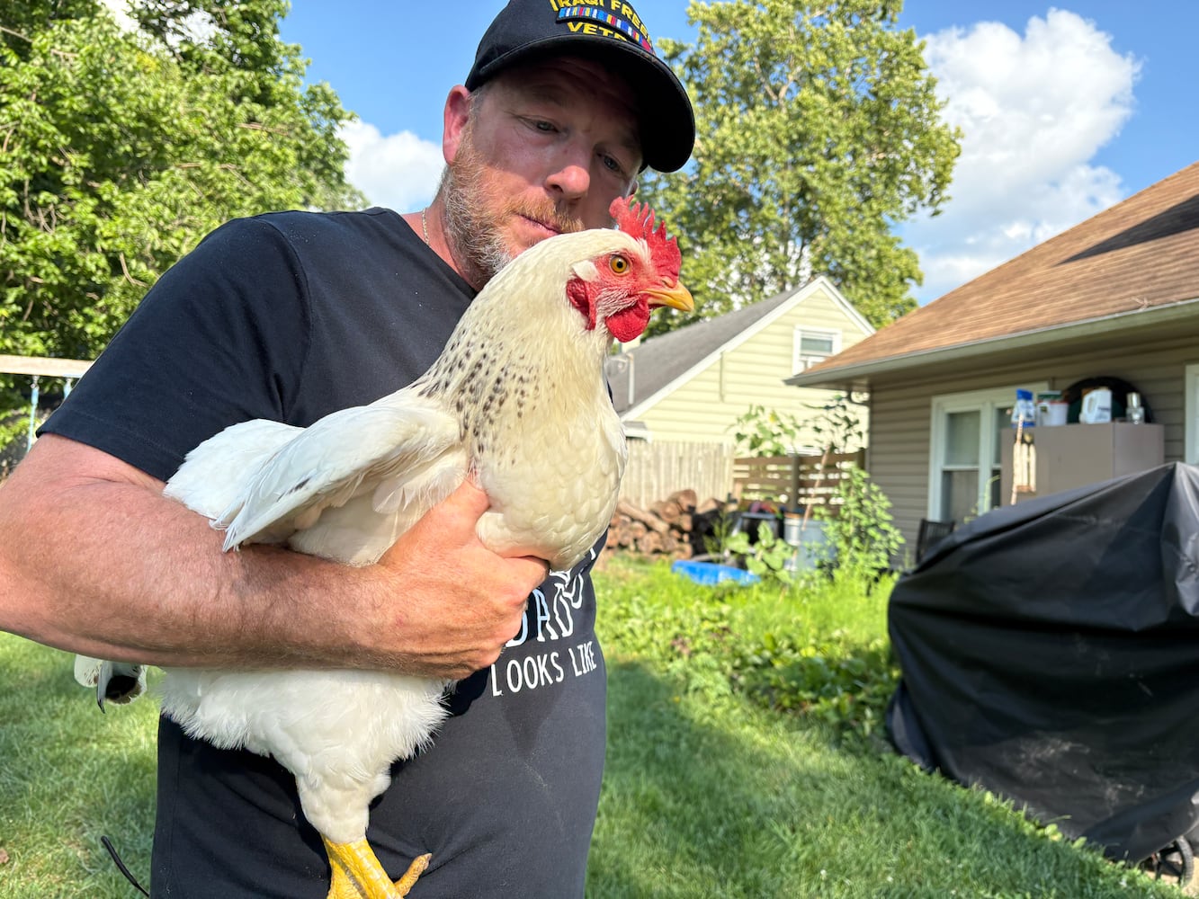 Todd Combs chickens in Kettering