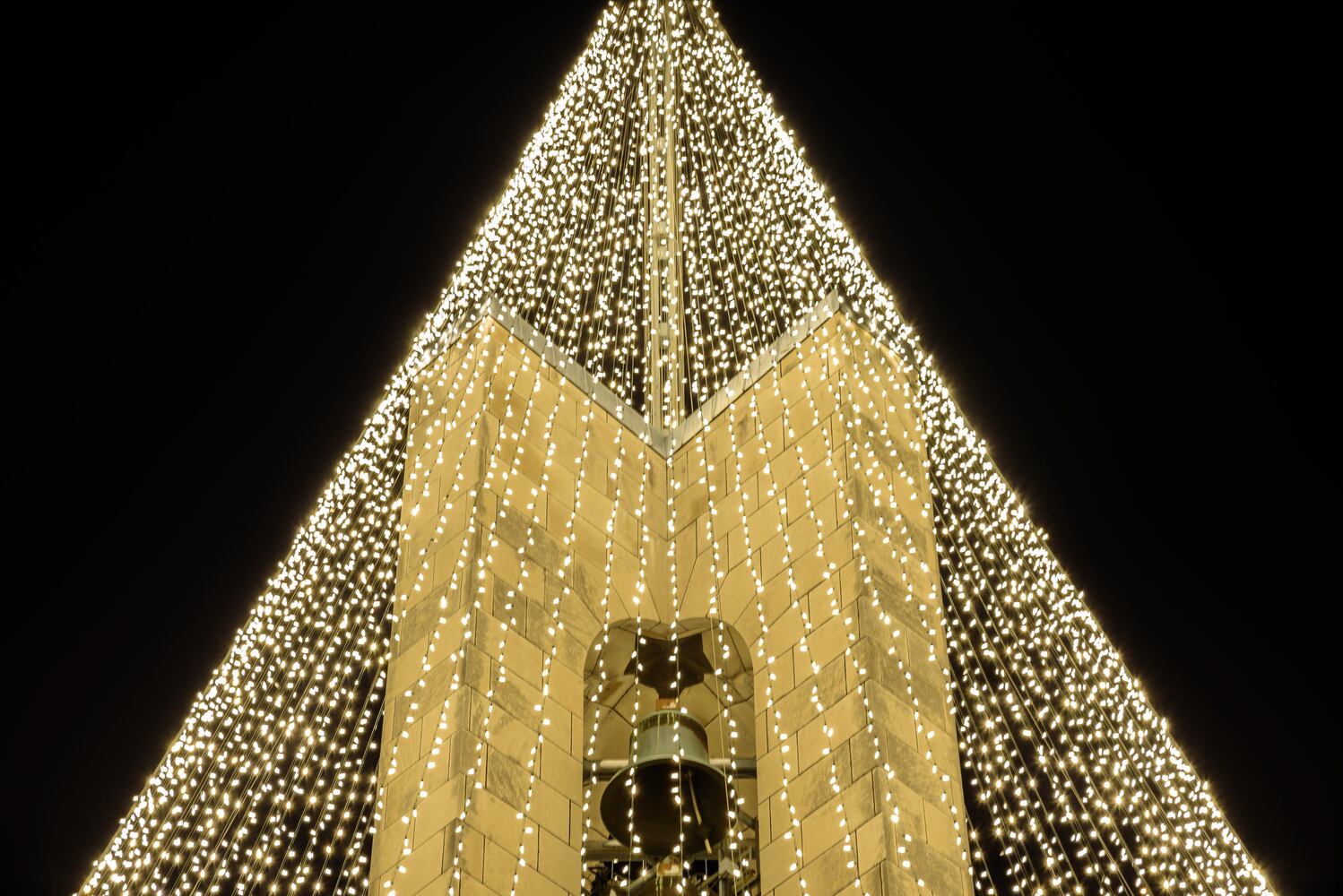 PHOTOS: Did we spot you at Carillon Park’s Tree of Light?