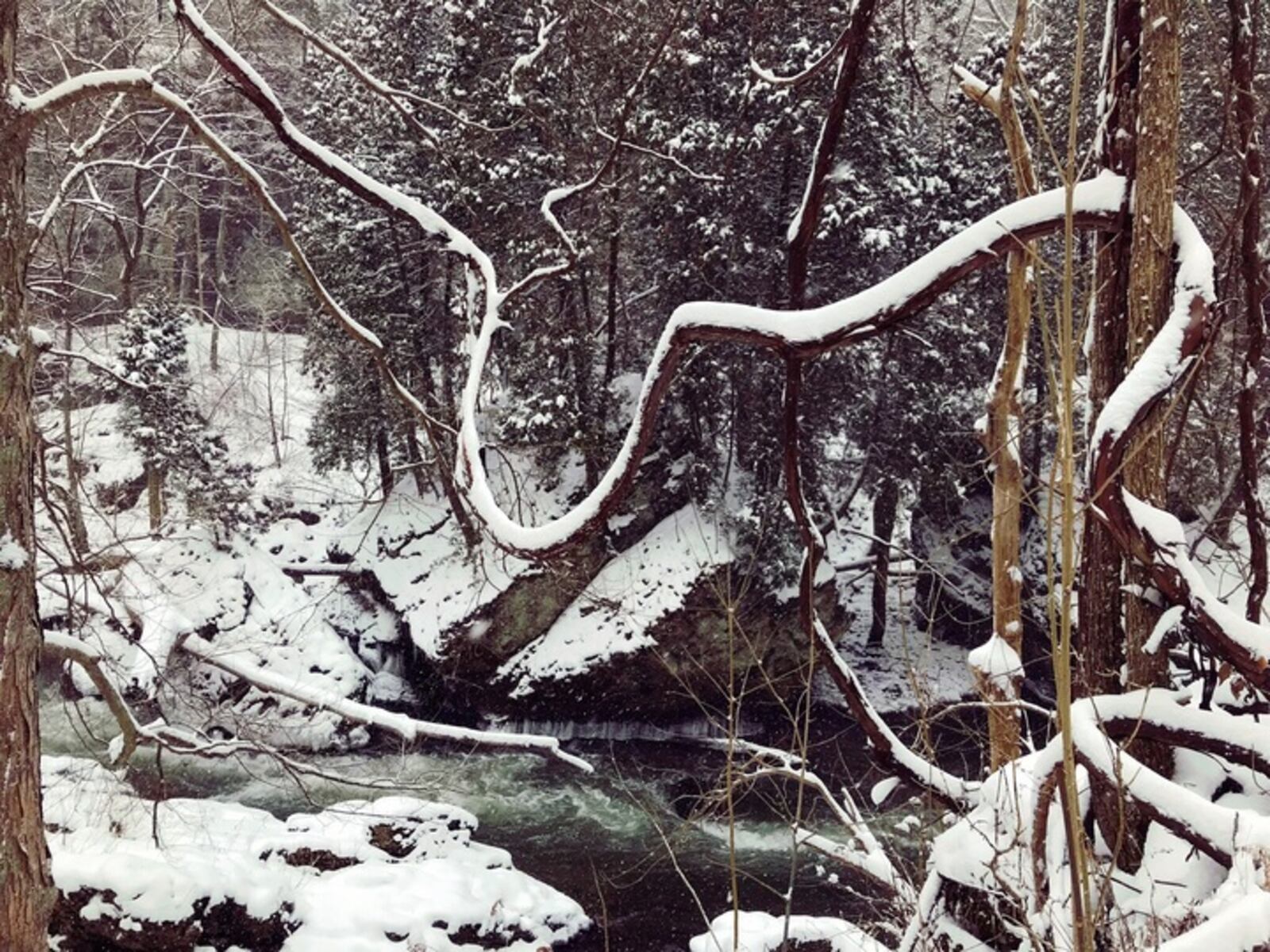 Clifton Gorge transforms into a true winter wonderland when temperatures drop low and snow fall is heavy.