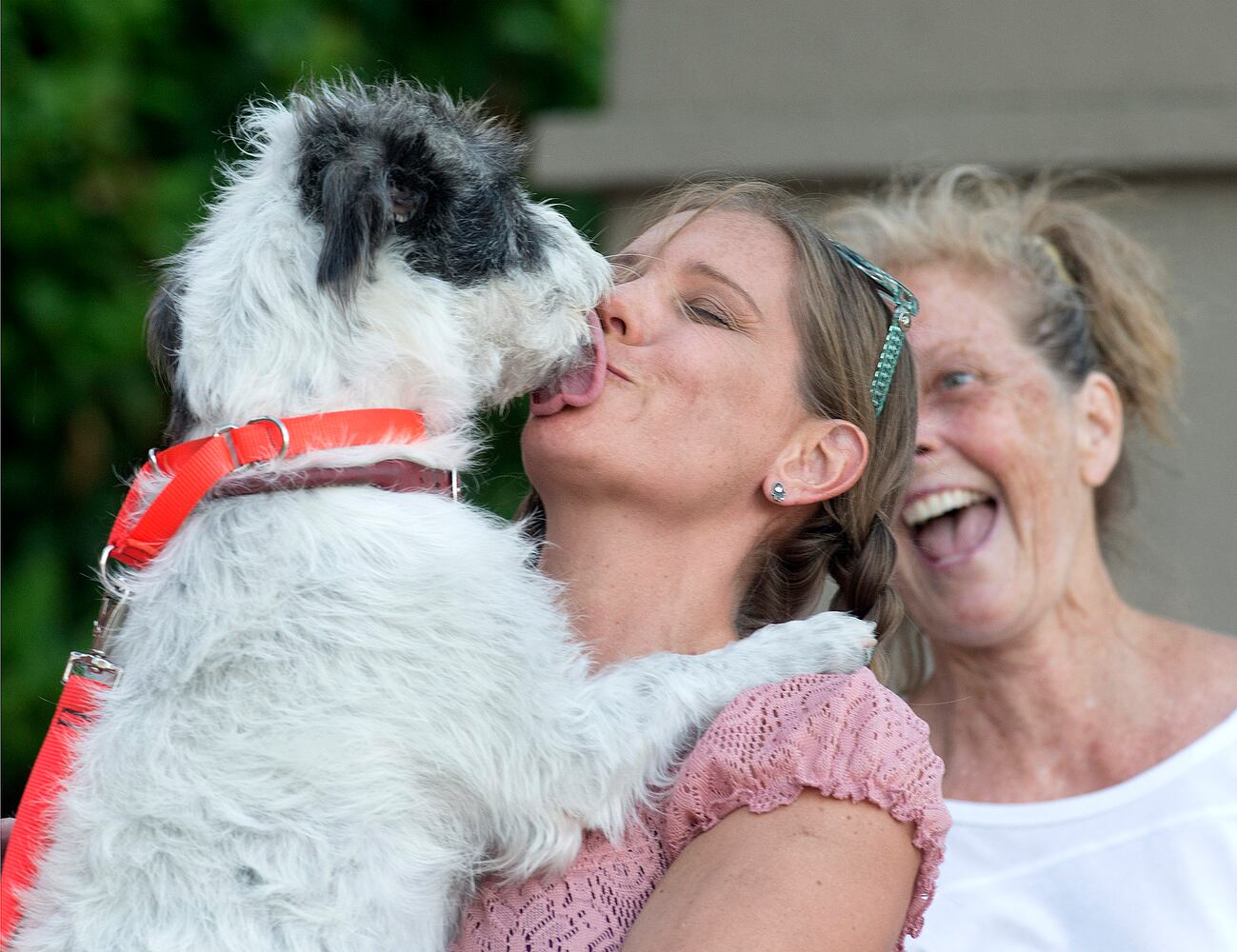 News hounds (8/13/15)