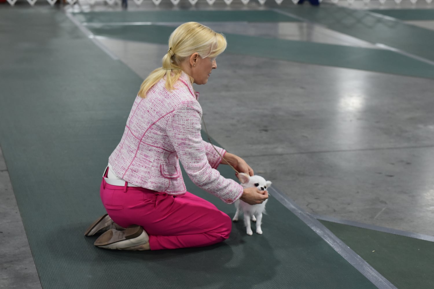 Fort St. Clair Kennel Club Dog Show