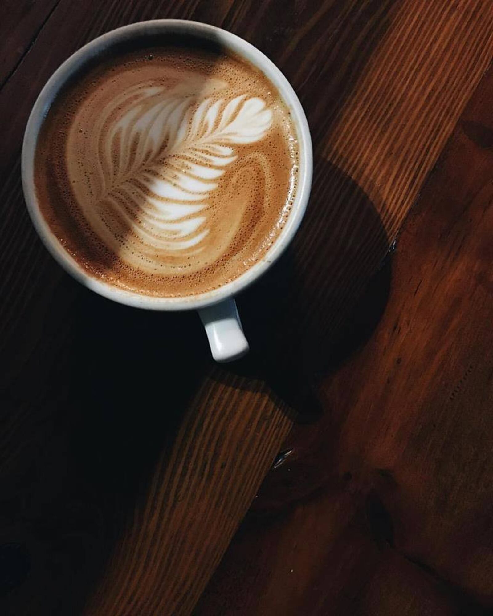 Ghostlight Coffee will celebrate its Lumberjack Fest 2017 on Saturday, Oct. 7. Fans will be able to preview Ghostlight’s new food truck, grab lumberjack flapjacks for breakfast, show off their flannel or buy some from Black Lake Vintage, learn out Peace on Fifth fair trade chocolates and Gem City Market;  support Gem City Tees; pick up  Rye Whiskey Barrel Aged Maple Syrup; stock up on Tina's Sweet Treats    and have a  Lumberjack Latte, a Lumberjack Candy Bar, a Lumberjack Bagel, and other lumberjack themed baked goods.  Photo: submitted
