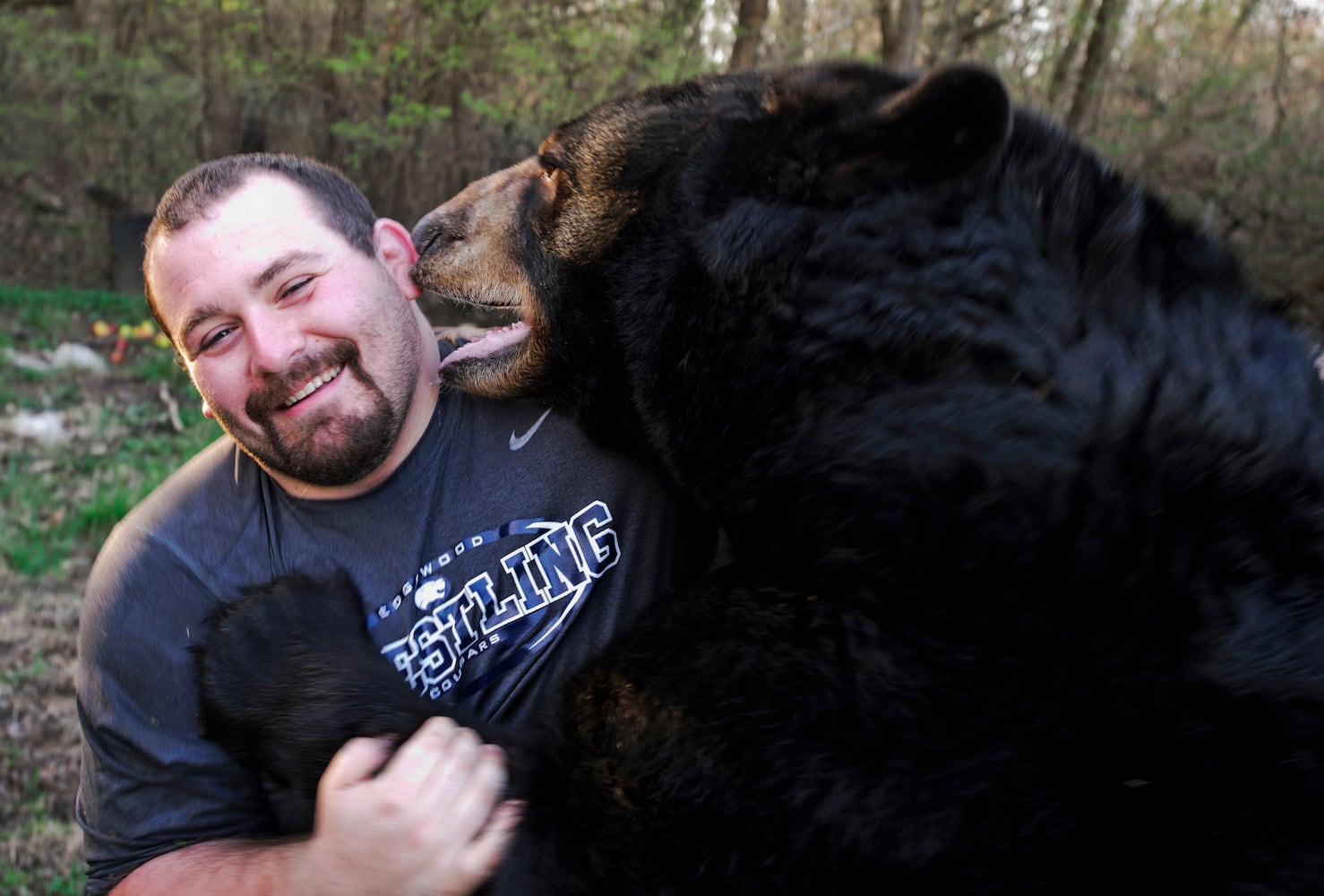 Buddy the bear