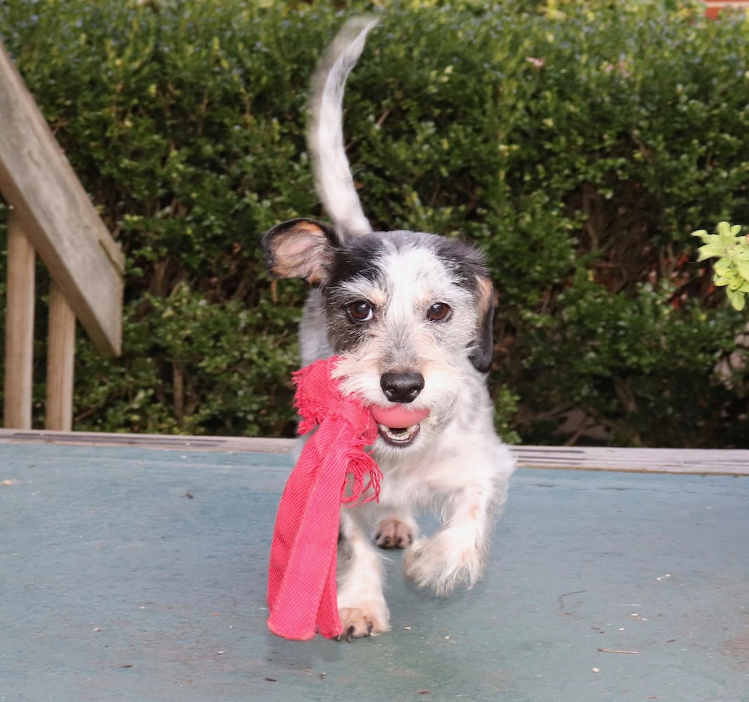PHOTOS: Our staff share pics for National Love Your Pet Day