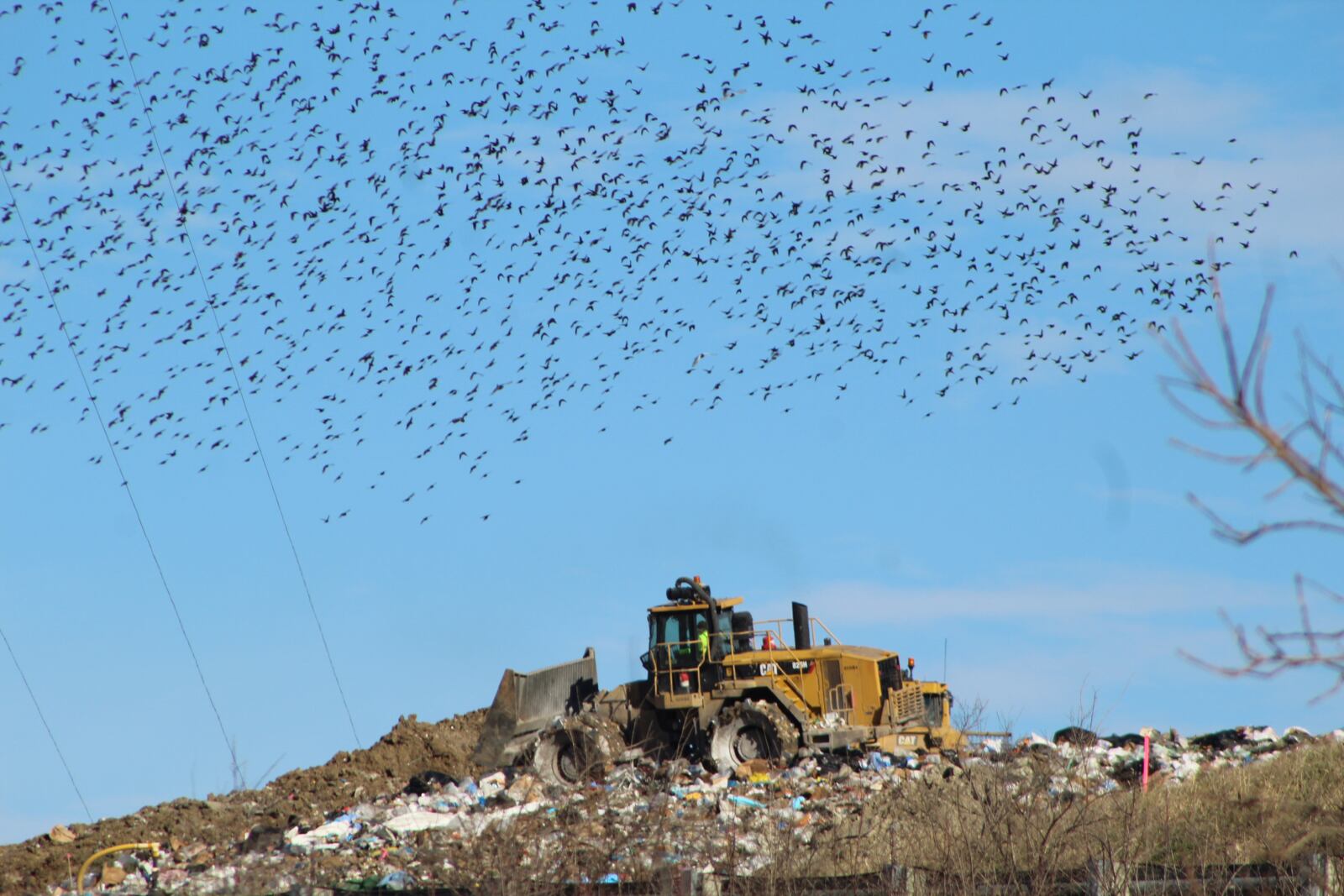 A flock of birds swirl in the air above Stony Hollow Landfill on Thursday as a bulldozer works on a mound of trash. CORNELIUS FROLIK / STAFF