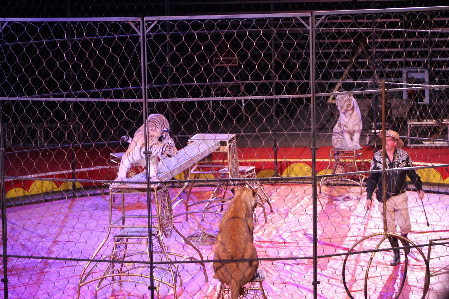 PHOTOS: Antioch Shrine Circus at UD Arena