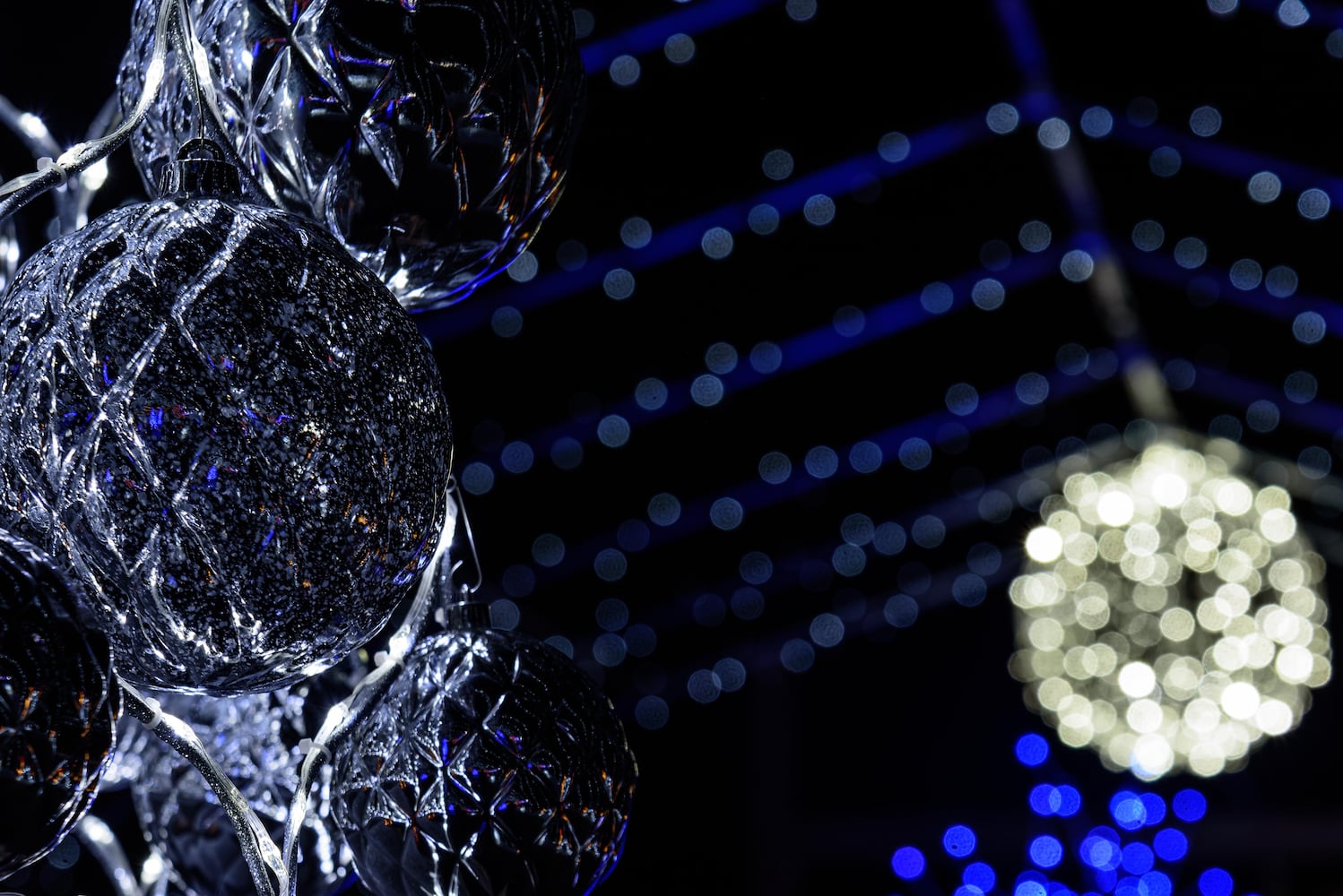 PHOTOS: Christmas Light Spectacular at Cedar Springs Pavilion