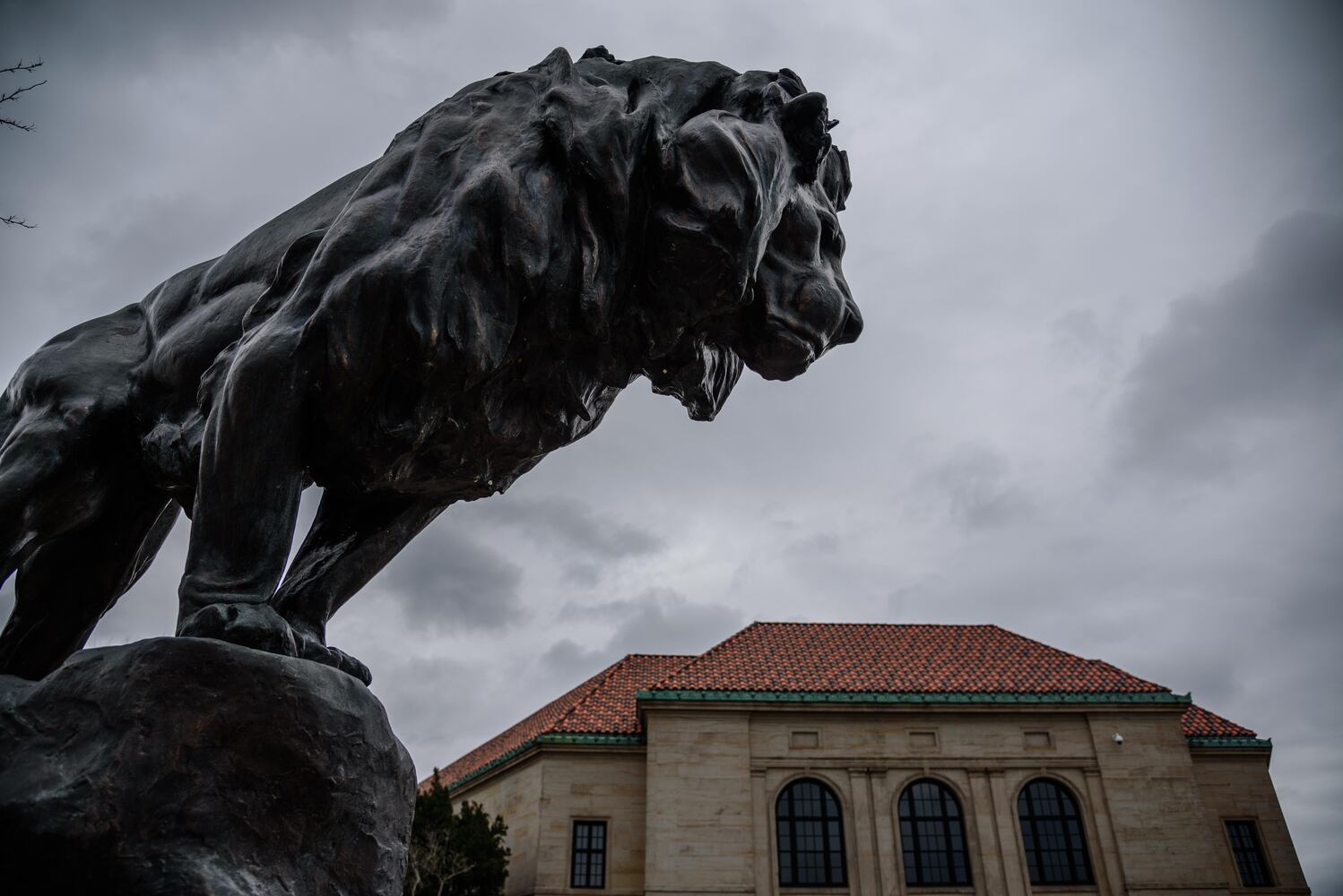 PHOTOS: Did we spot you at the Dayton Art Institute’s 100th birthday party?