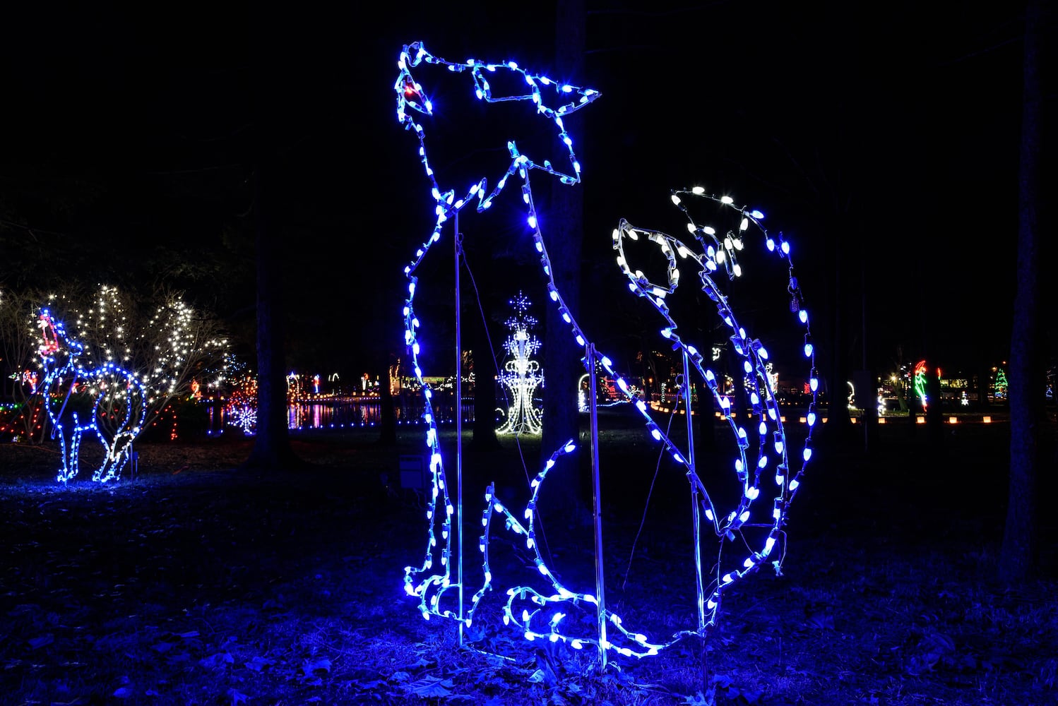 PHOTOS: A walk through Woodland Lights in Washington Township
