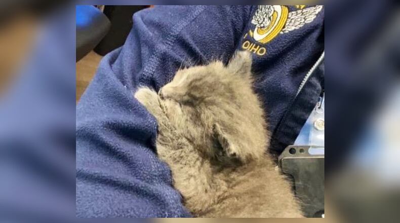 The kitten, now called "Trooper," was rescued on state Route 123 in Warren County by trooper Jacob Olsen | Photo courtesy of Ohio State Highway Patrol