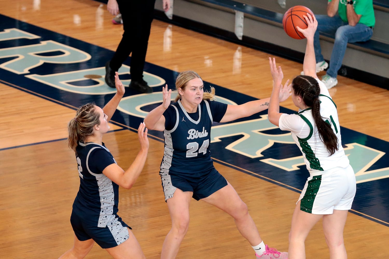 Fairmont Mason basketball