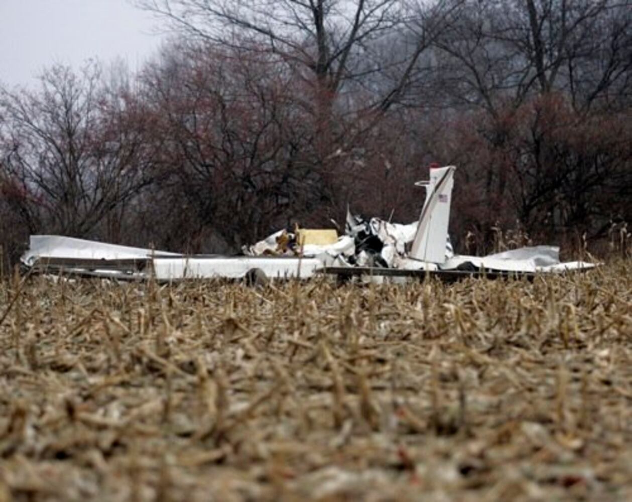 Pilot dies in plane crash