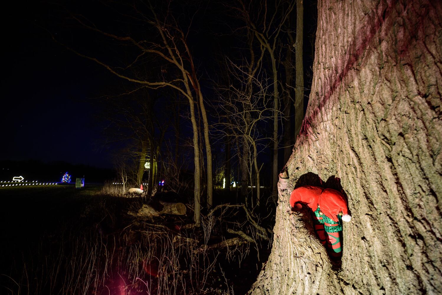 PHOTOS: Holiday Lights dazzle at Lost Creek Reserve in Troy
