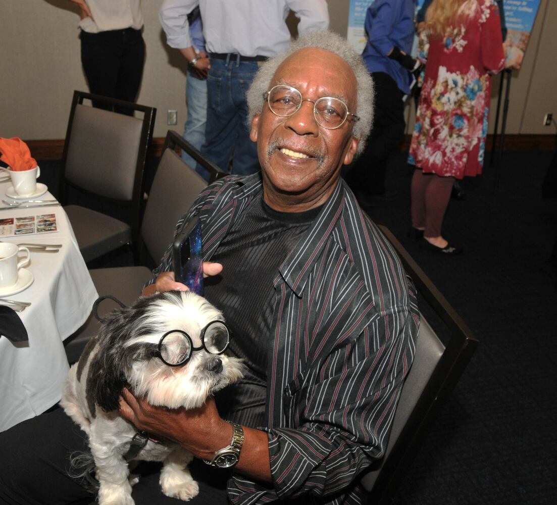 Did we spot you at Dogs on the Catwalk?