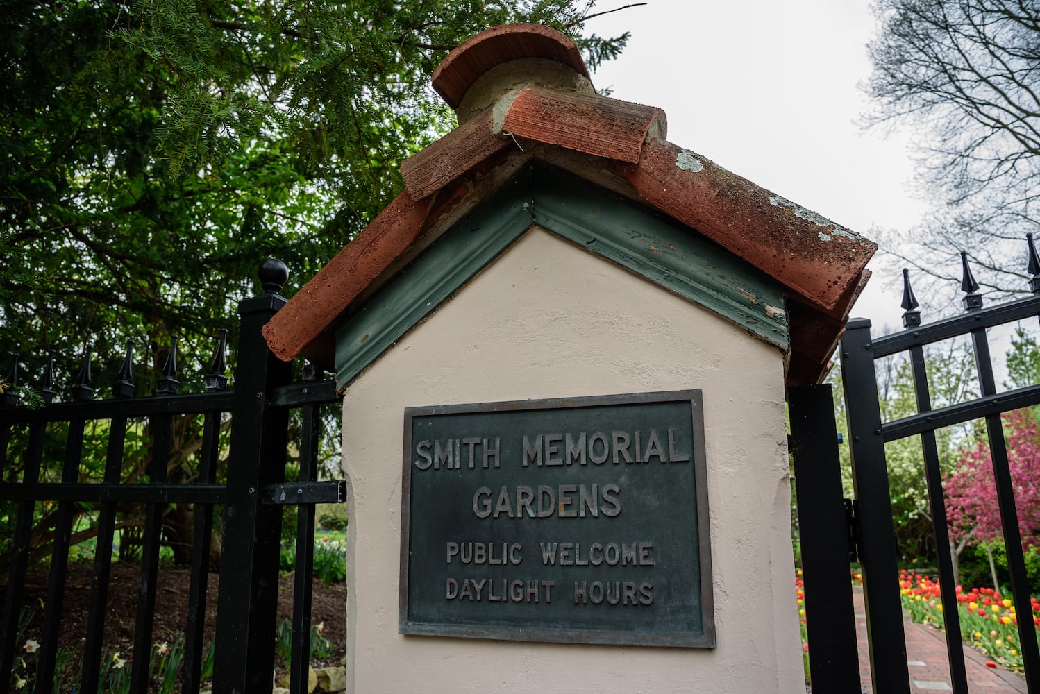 PHOTOS: Multi-colored tulips are in full bloom at Smith Memorial Gardens