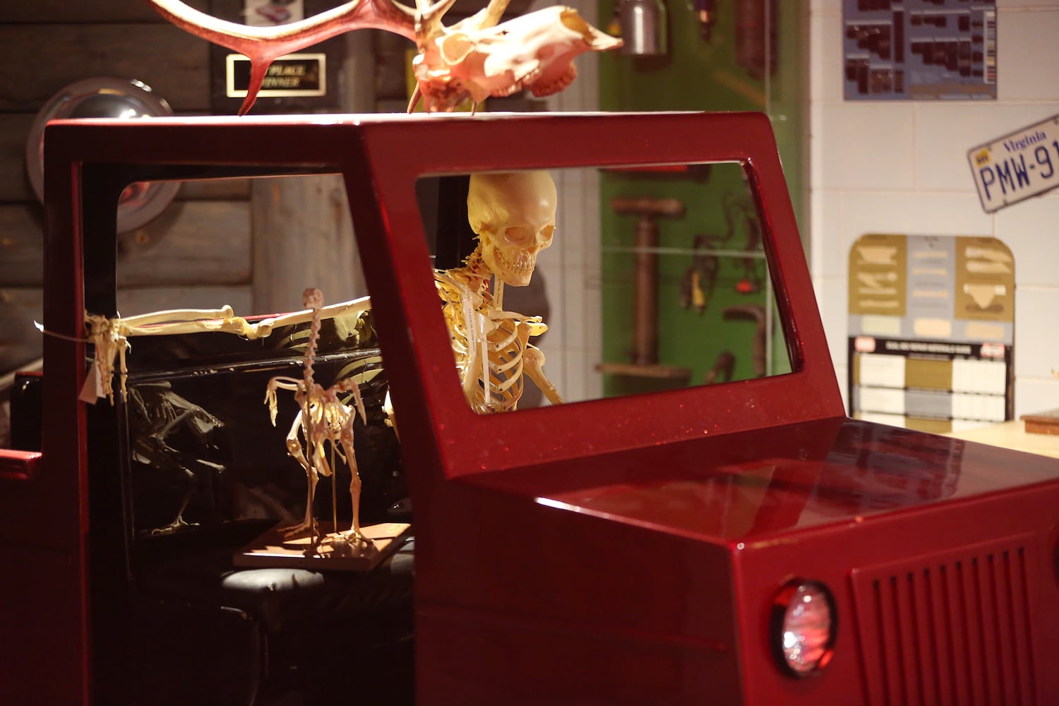 PHOTOS: Boonshoft Museum of Discovery reopens with old favorites and rarely seen artifacts from the collection