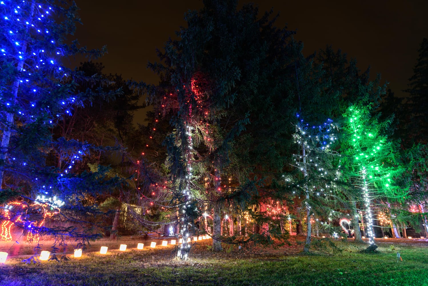 PHOTOS: A walk through Woodland Lights in Washington Township