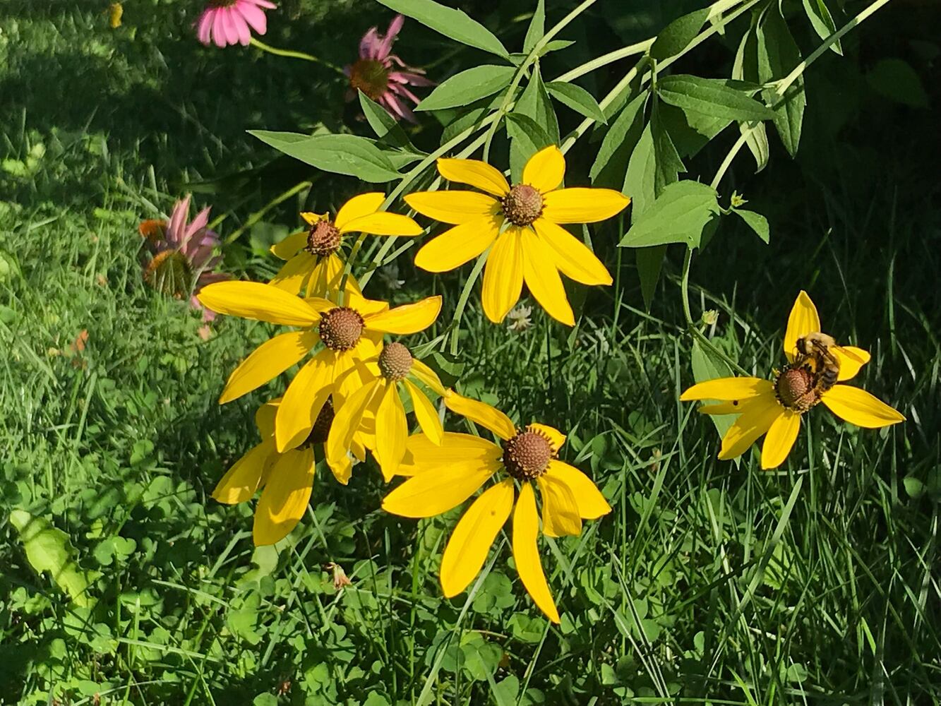 PHOTOS: This hidden park on the side of the road might be one of Dayton’s most peaceful spots