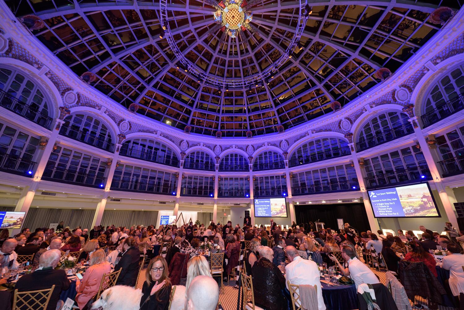 PHOTOS: Did we spot you at the Pet Afflaire Gala at the Dayton Arcade?
