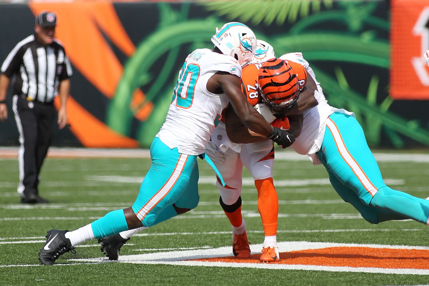 bengals dolphins gallery