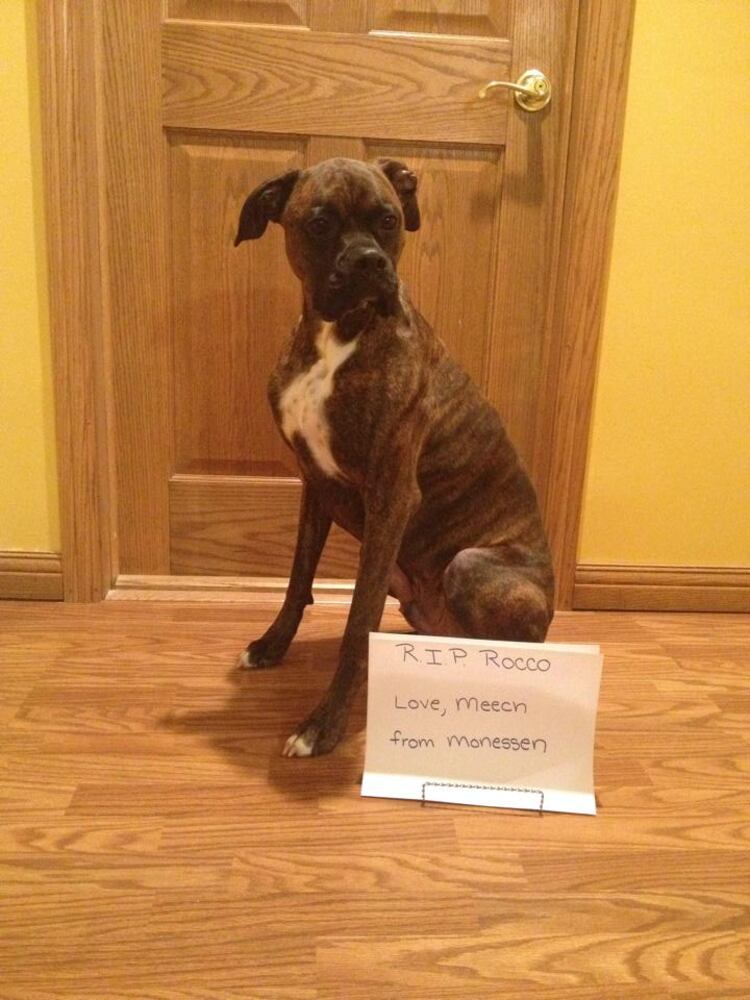 RIP Rocco