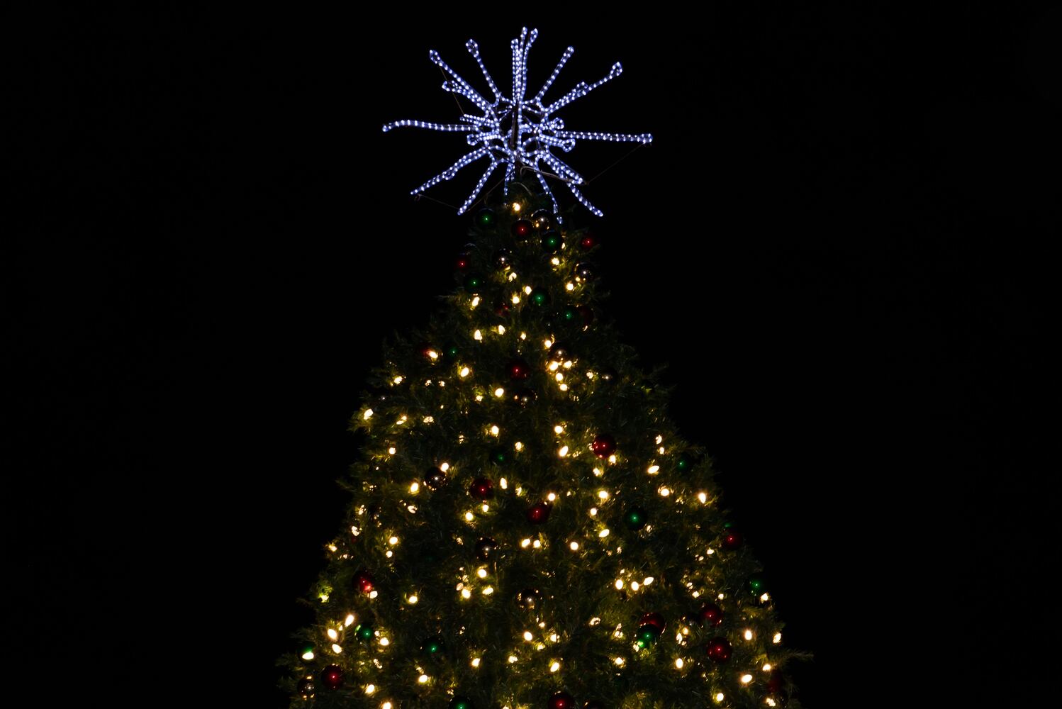 PHOTOS: Did we spot you at the Christmas Tree Lighting & Santa Arrival Parade at The Greene?