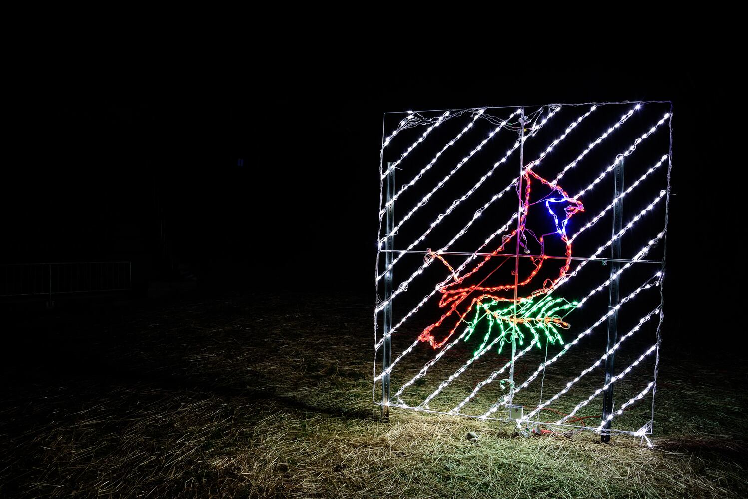PHOTOS: ParkLights, a new winter wonderland at Caesar Ford Park in Xenia