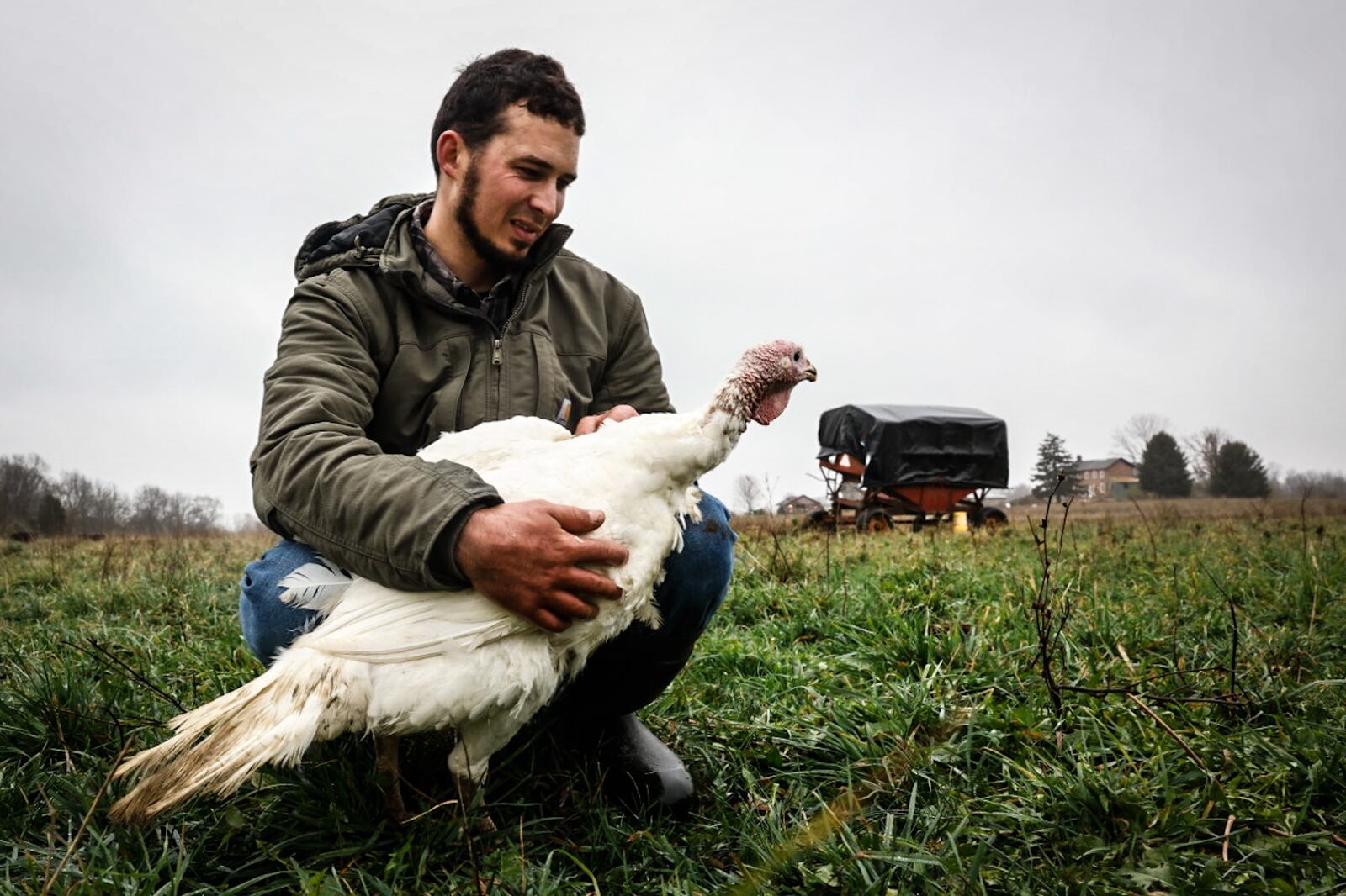 Regenerative farmer John Filbrun holds one of hundreds of turkeys he raises on his family's Preble County farm. Filbrun and his wife operate Maker's Meadow Farm where they raise turkey and other grass-fed animals. JIM NOELKER/STAFF
