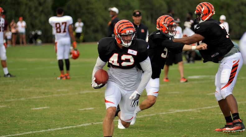 Cincinnati Bengals safety Clayton Fejedelem runs a fake punt during Monday’s training camp practice at Paul Brown Stadium. JAY MORRISON/STAFF