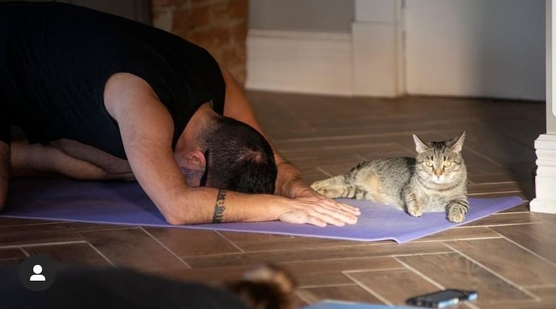 Yogi Matt Turner has started sharing his love of yoga and kittens at the Gem City Catfe. CONTRIBUTED