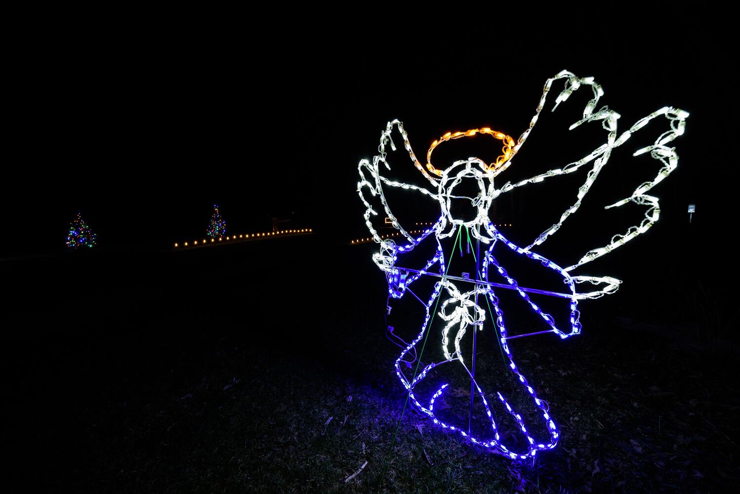 PHOTOS: Holiday Lights dazzle at Lost Creek Reserve in Troy
