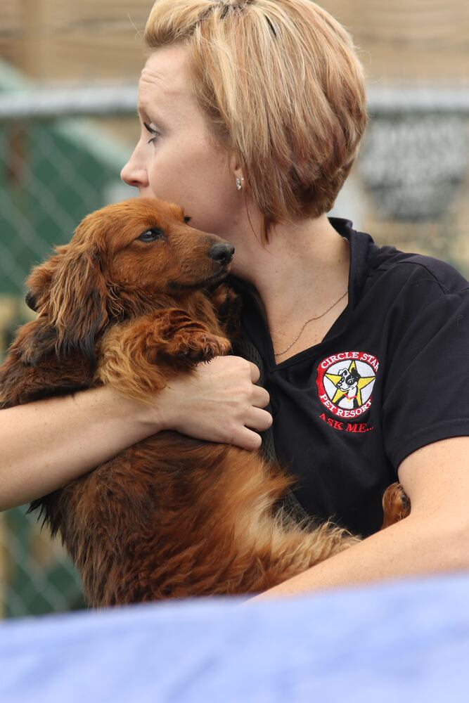 News hounds (5/14/15)