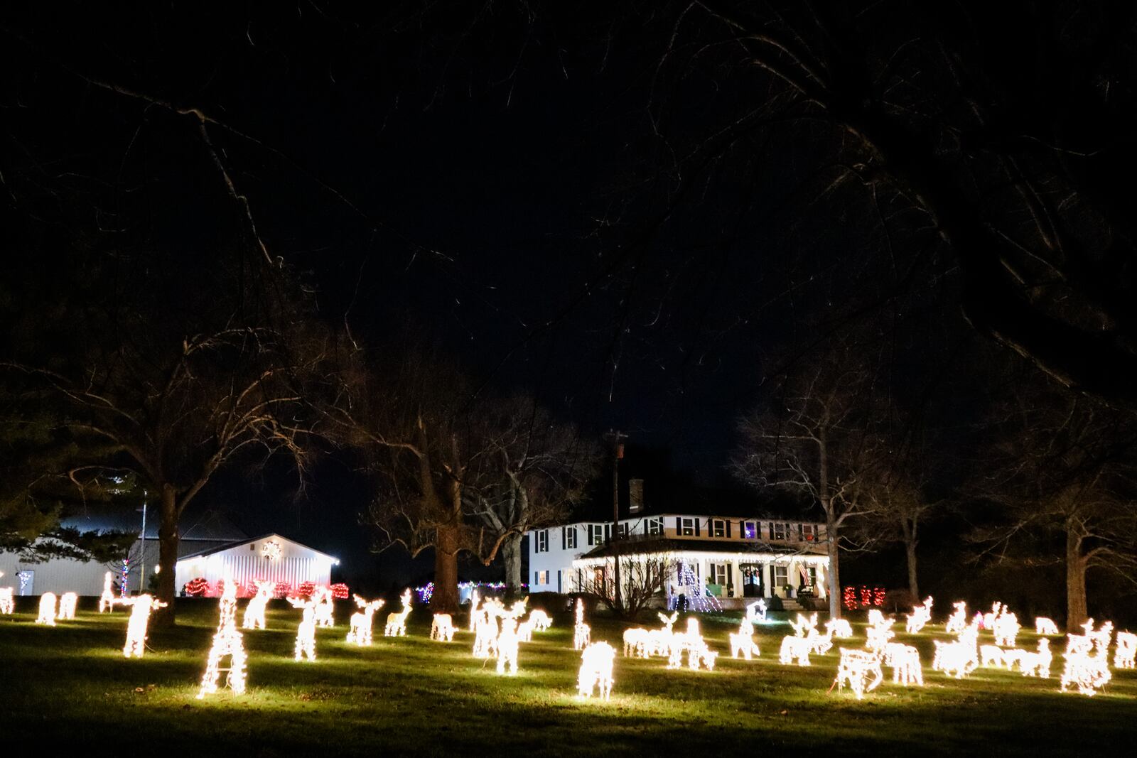 More than 80 reindeer appear on the lawn at this Warren County home. CONTRIBUTED