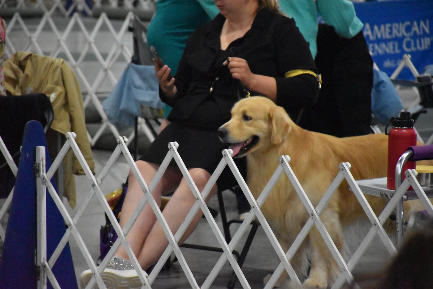 Fort St. Clair Kennel Club Dog Show