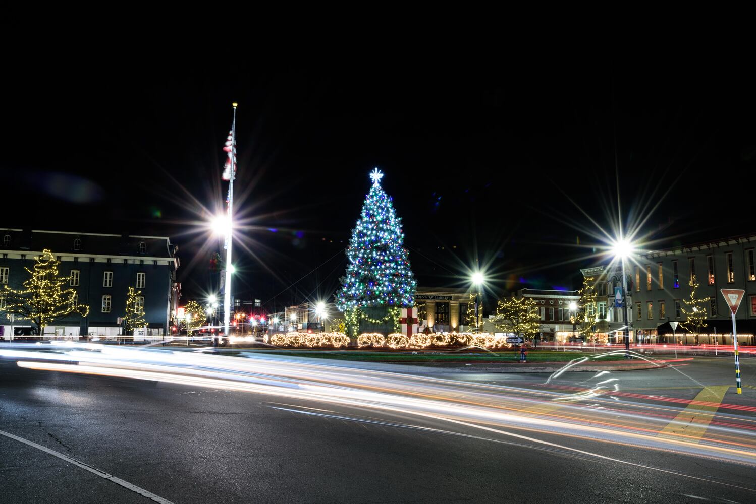 PHOTOS: Troy’s Holiday Tree Lighting