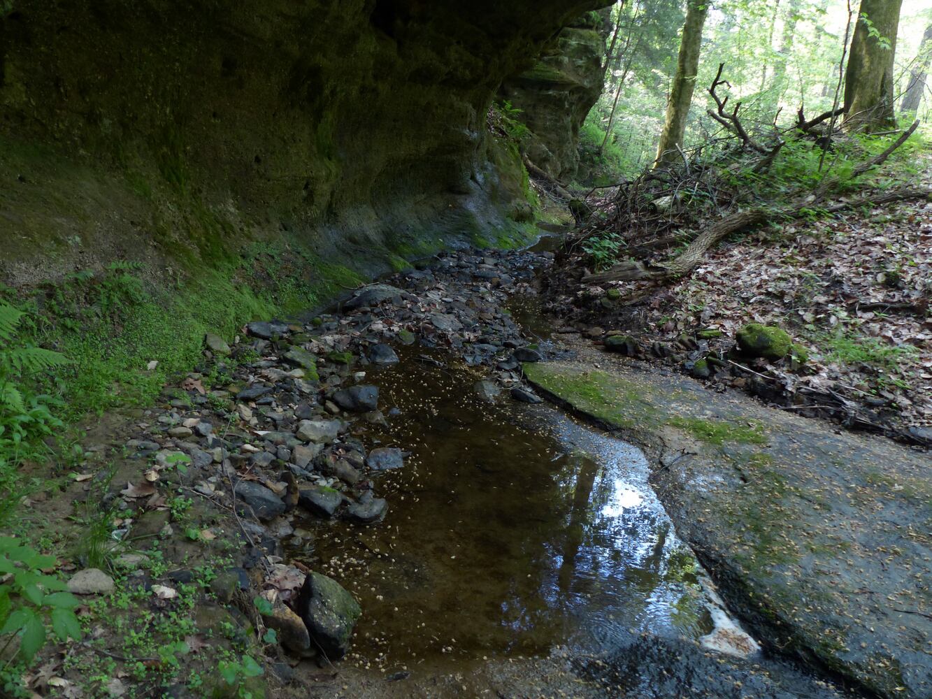 Leo Petroglyph State Memorial