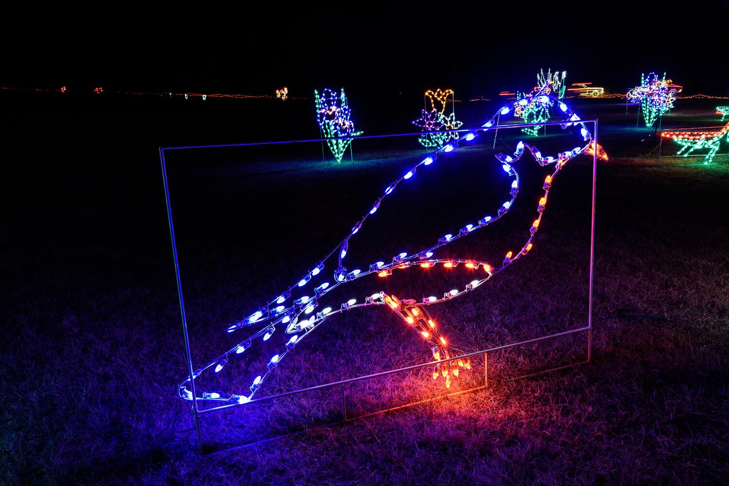 PHOTOS: ParkLights at Caesar Ford Park