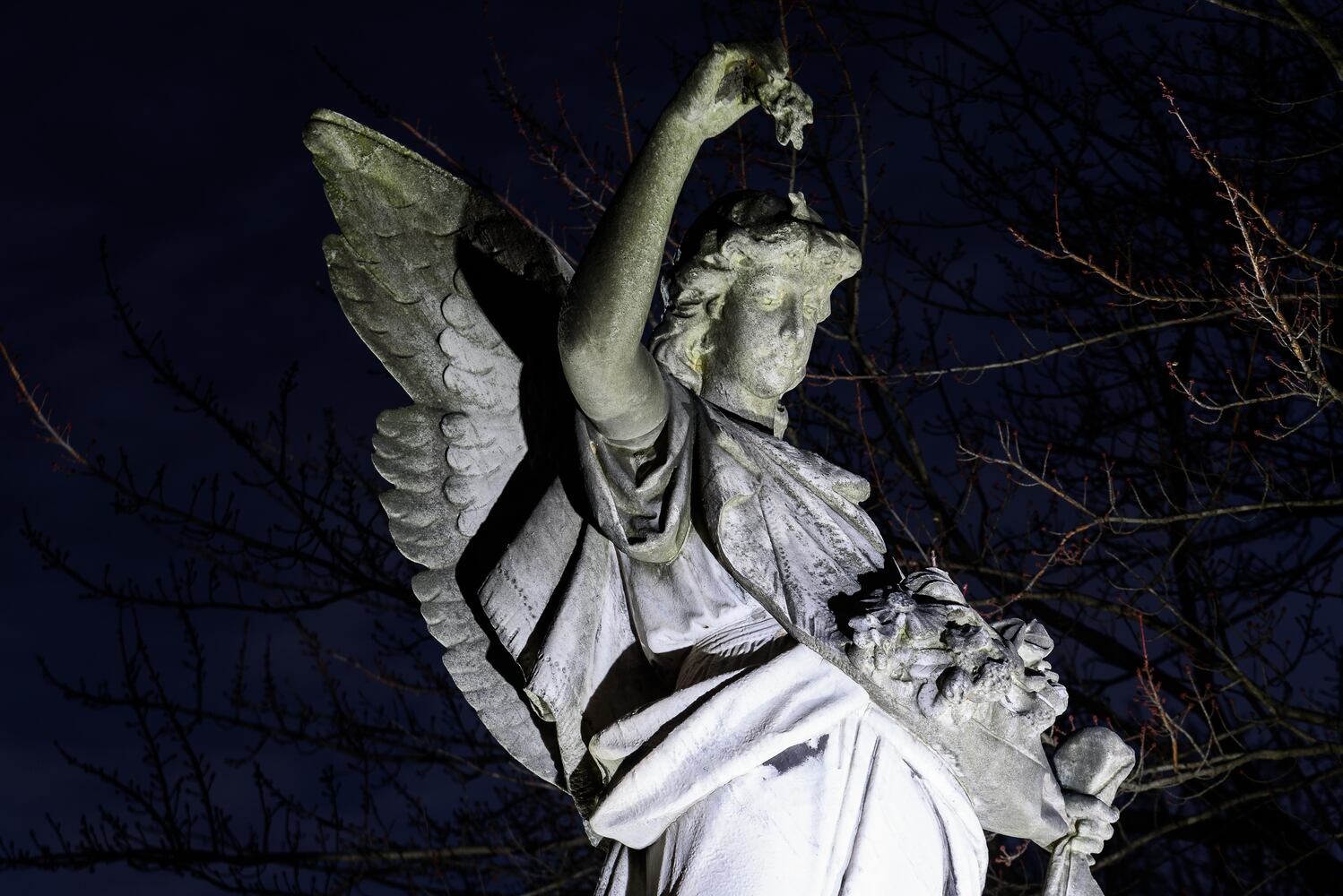 PHOTOS: Angel Night at Calvary Cemetery