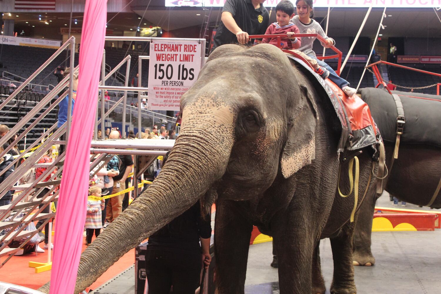 PHOTOS: Antioch Shrine Circus at UD Arena