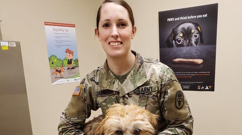 Army Sgt. Brianna Jamieson, NCO in charge of the Wright-Patterson Veterinary Treatment Facility, evaluates Dodger during a routine appointment. (Courtesy photo)