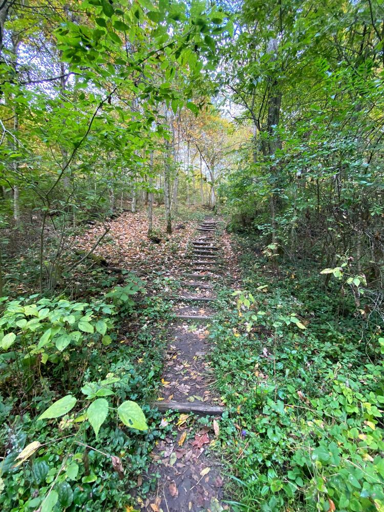 Narrows Reserve